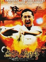 无敌铁砂掌封面图