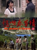 悠悠春草情封面图