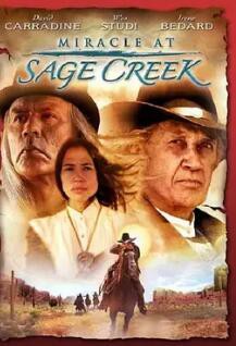 草原上的奇迹封面图