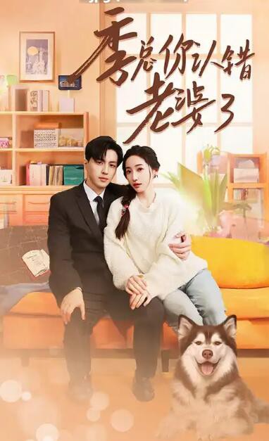 季总你认错老婆了封面图