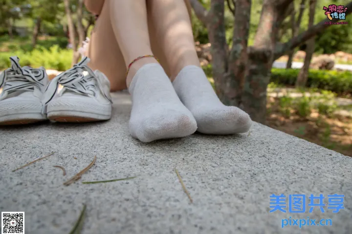 松鼠坐在混凝土壁架上，双叉