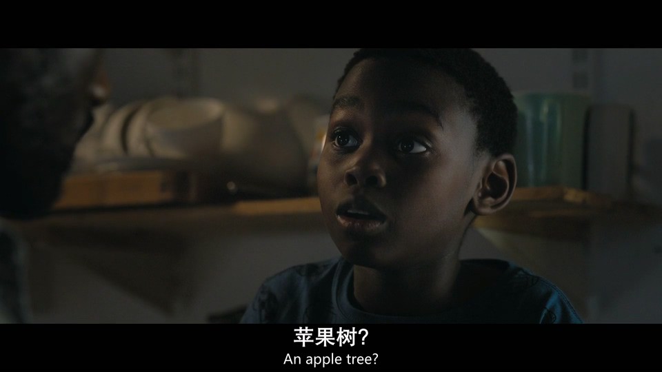 2024惊悚动作《猎者之心》HD1080P.英语中英双字截图