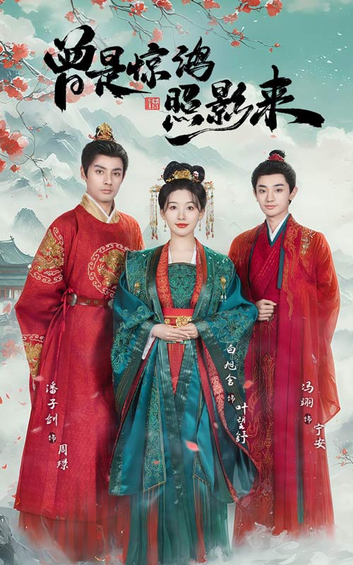 曾是惊鸿照影来封面图