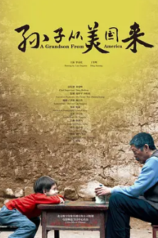 孙子从美国来封面图