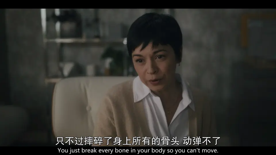 2024美剧《过去的事》10集全.HD1080P.英语中英双字截图