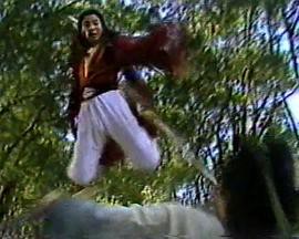 龙凤奇侠封面图