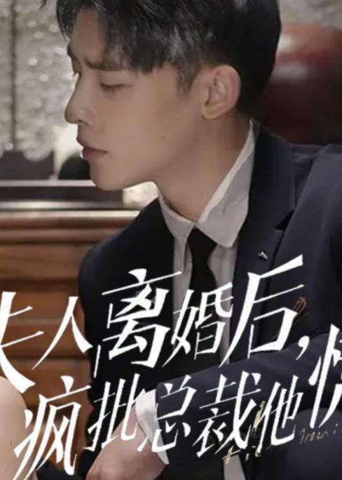 夫人离婚后，疯批总裁他慌了封面图