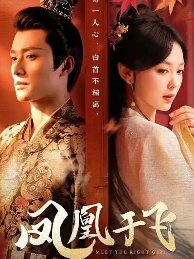 凤凰于飞封面图