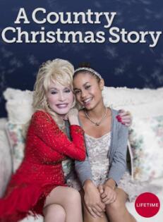 乡村圣诞故事封面图