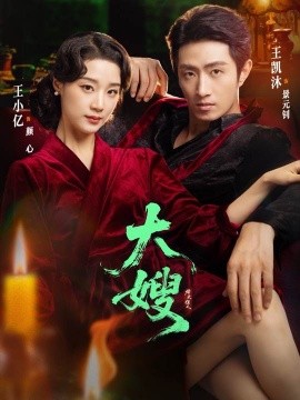 大嫂：烽火佳人封面图