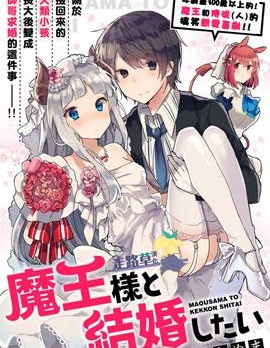 想和魔王大人结婚
