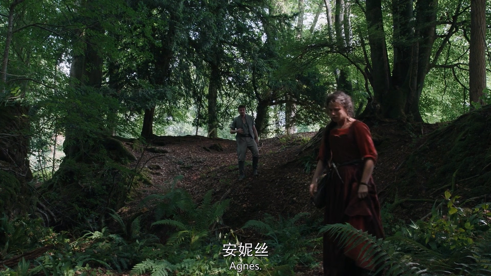 2025英国爱情《哈姆奈特》BD1080P.英语中英双字截图