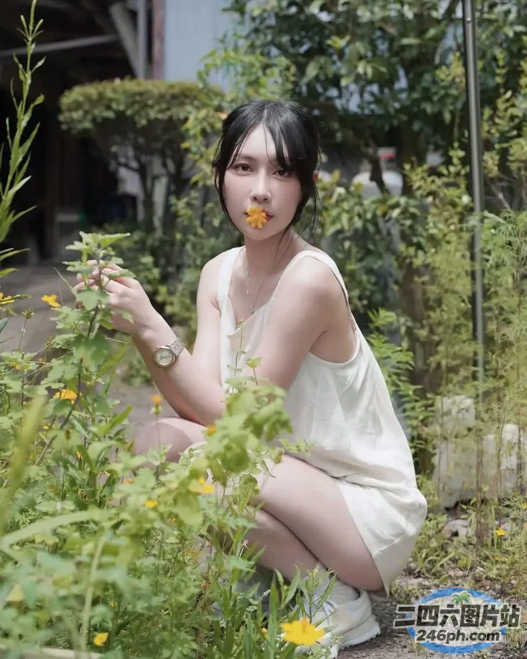 有个女人跪在花园里采花