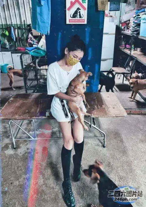 歌词大意： 有一个女人怀里抱着一只狗