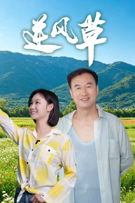 逆风草封面图