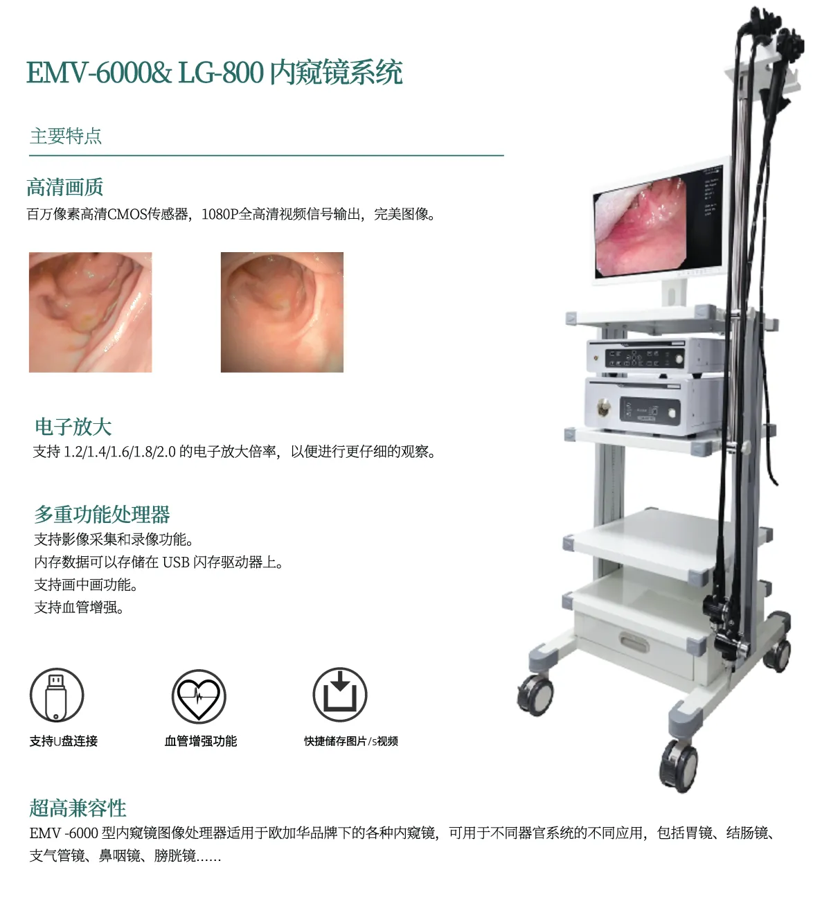 LG-800医用内窥镜冷光源(图1)