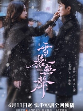 雪落无声