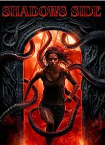 暗影之面封面图