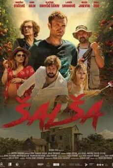 萨尔萨舞封面图