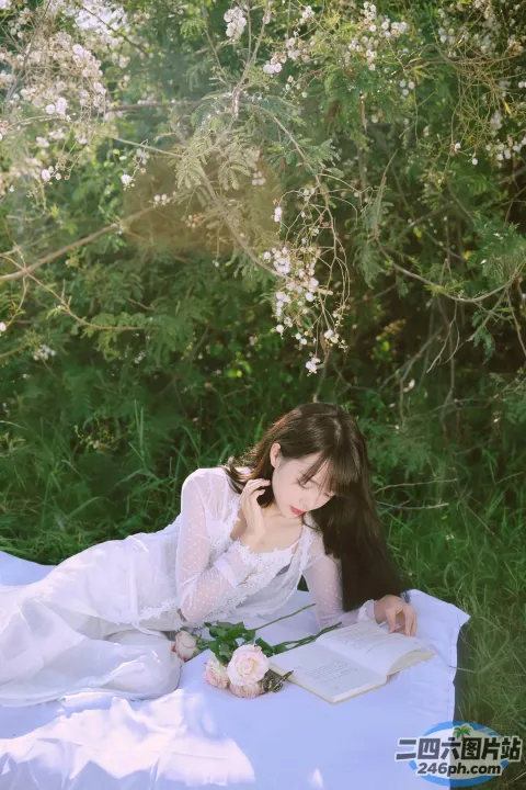歌词大意： 有一个女人躺在毯子上看书