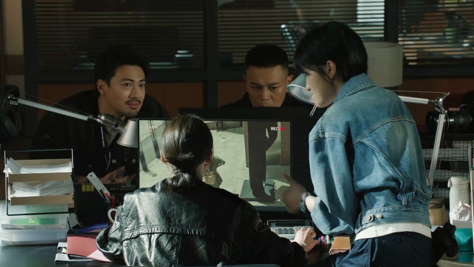 2026国剧《重案解密 国语》12集全.HD1080P.国语中字截图