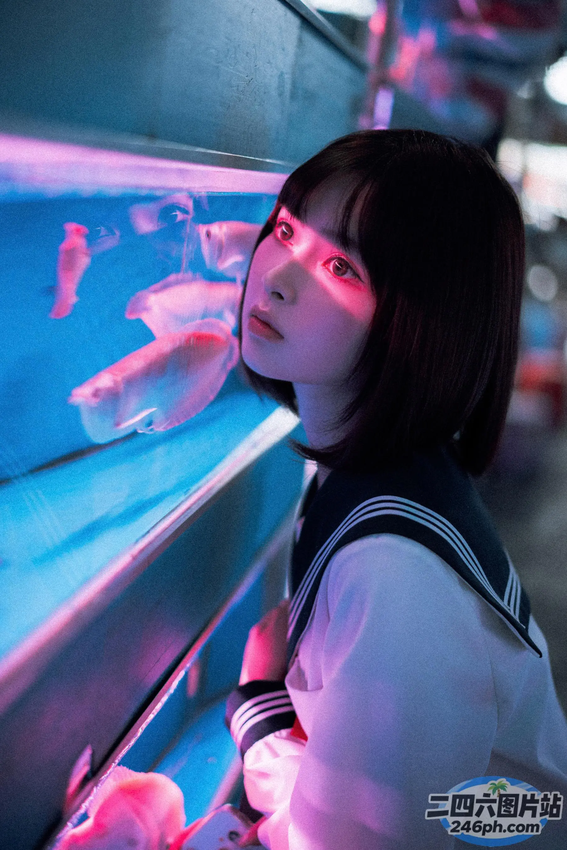 歌词大意： 有一个女人在鱼缸里看着鱼