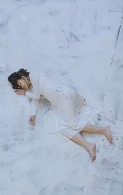 以身为饵的她封面图