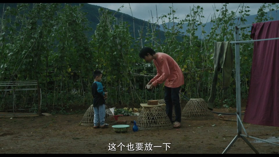  [BT下载][金色茧房][HD-MP4/4.3GB][越南语中字][1080P] 