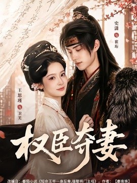权臣夺妻封面图