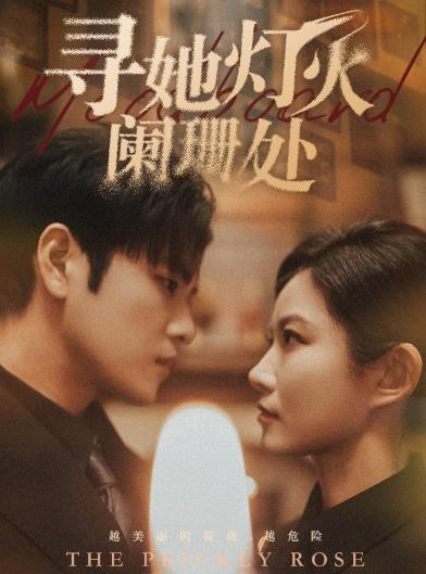 寻她灯火阑珊处封面图