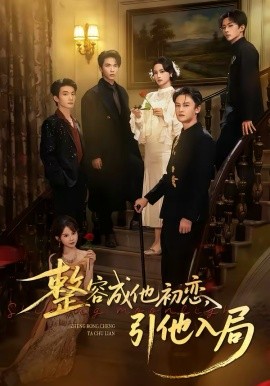 整容成他初恋，引他入局封面图