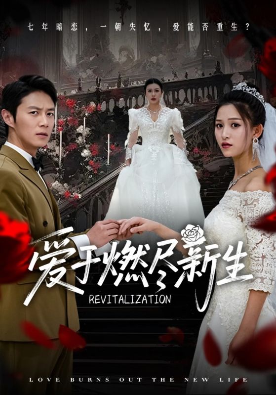 爱于燃尽新生封面图