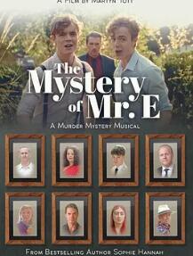 E先生之谜封面图