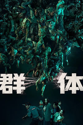 群体