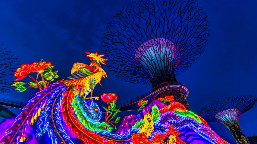 夜晚公园里灯火通明的鸟儿和花朵雕塑