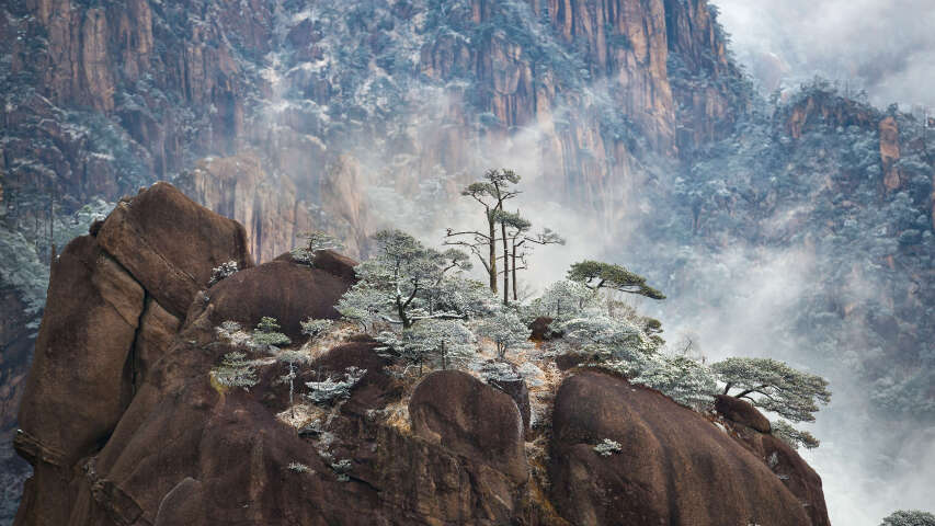 山顶上有一棵小树，天空雾蒙蒙的
