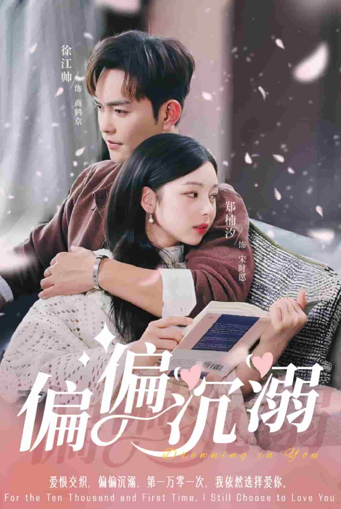 偏偏沉溺封面图