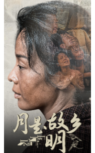 新:月是故乡明封面图