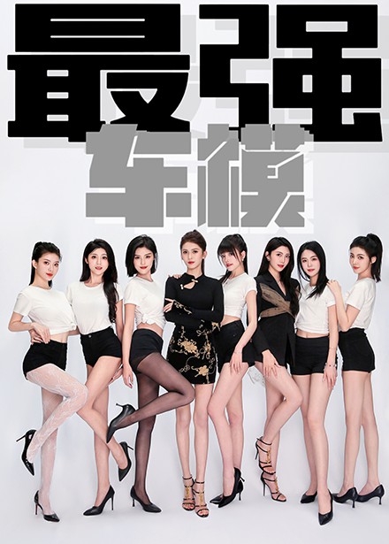 最强车模封面图