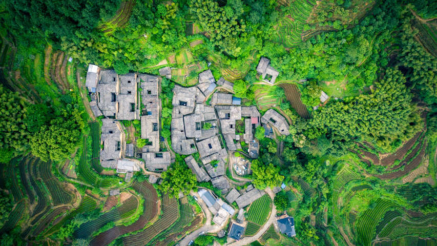 郁郁葱葱的绿色山谷中的村庄鸟瞰图