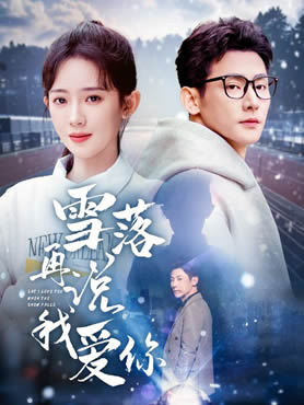 雪落再说我爱你封面图