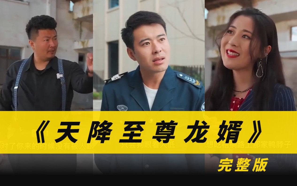 天降至尊龙婿封面图