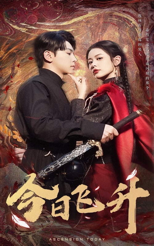 今日飞升封面图