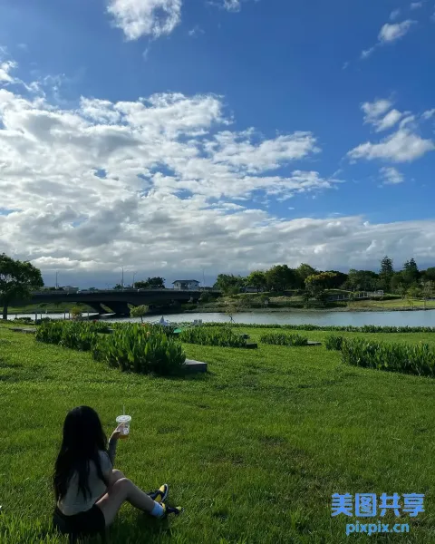 Araffe 坐在公园的草地上，天空中放着风筝