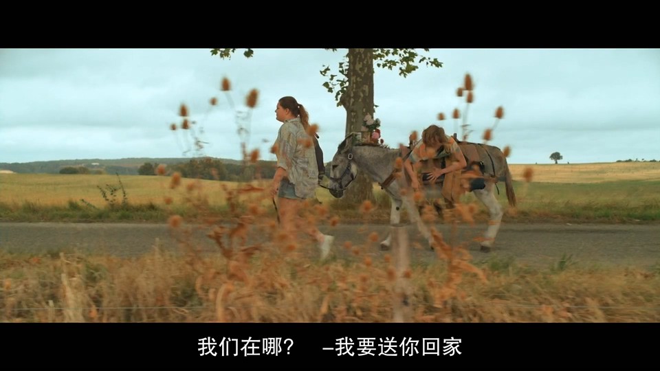  [BT下载][超级布雷斯][HD-MP4/1.9GB][法语中字][1080P] 