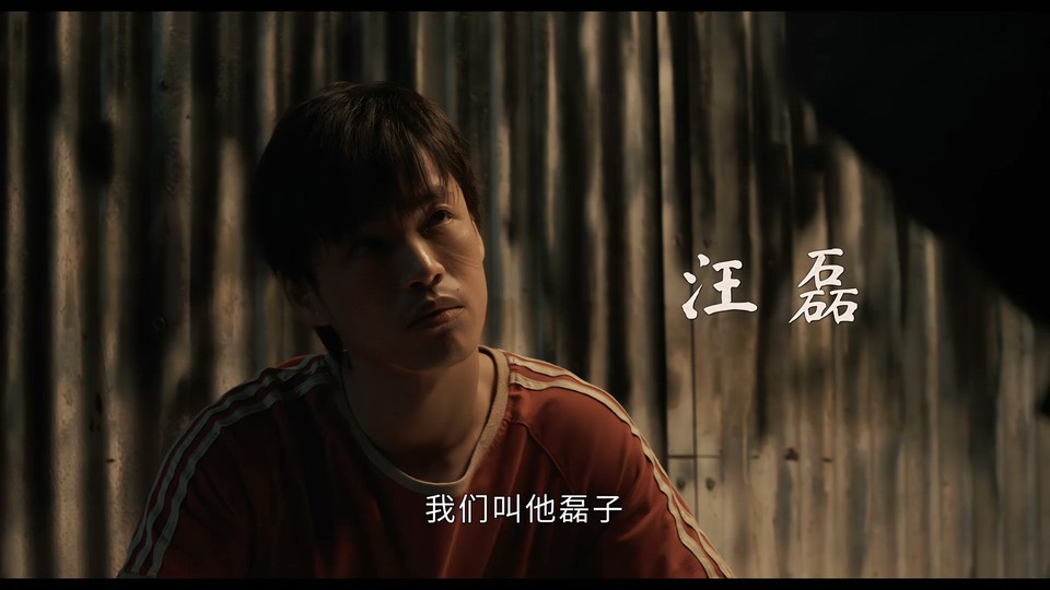 2023国剧《似火流年》30集全.HD1080P.国语中字截图