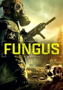 霉菌战争封面图