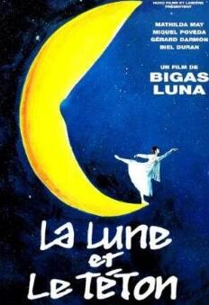 乳房与月亮封面图