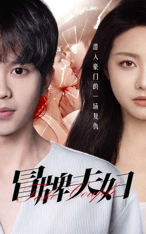 冒牌夫妇封面图