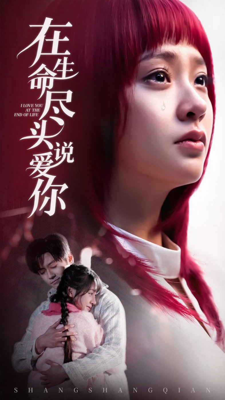 在生命尽头说爱你封面图